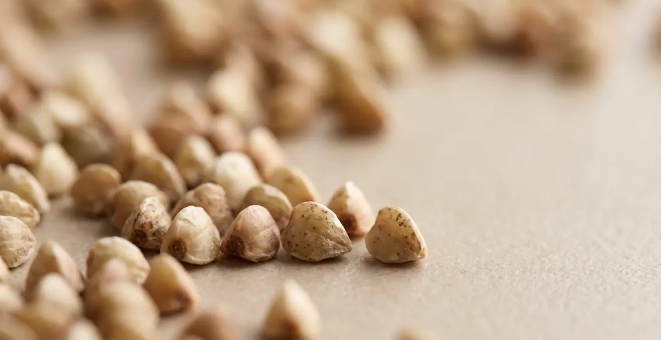 Extreme close-up of buckwheat groats showcasing their pyramid-shaped structure and textural details