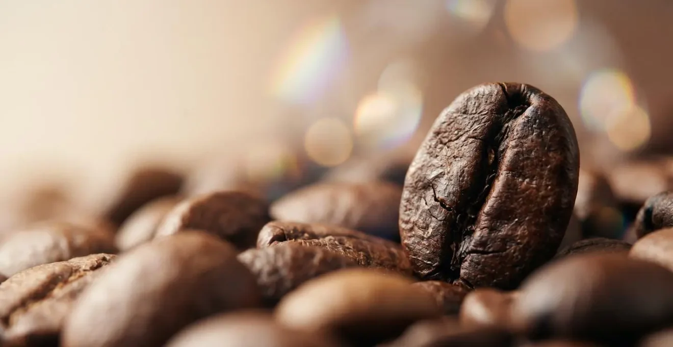 Close-up macro photography of coffee beans showing natural texture and traceability concept without digital interfaces