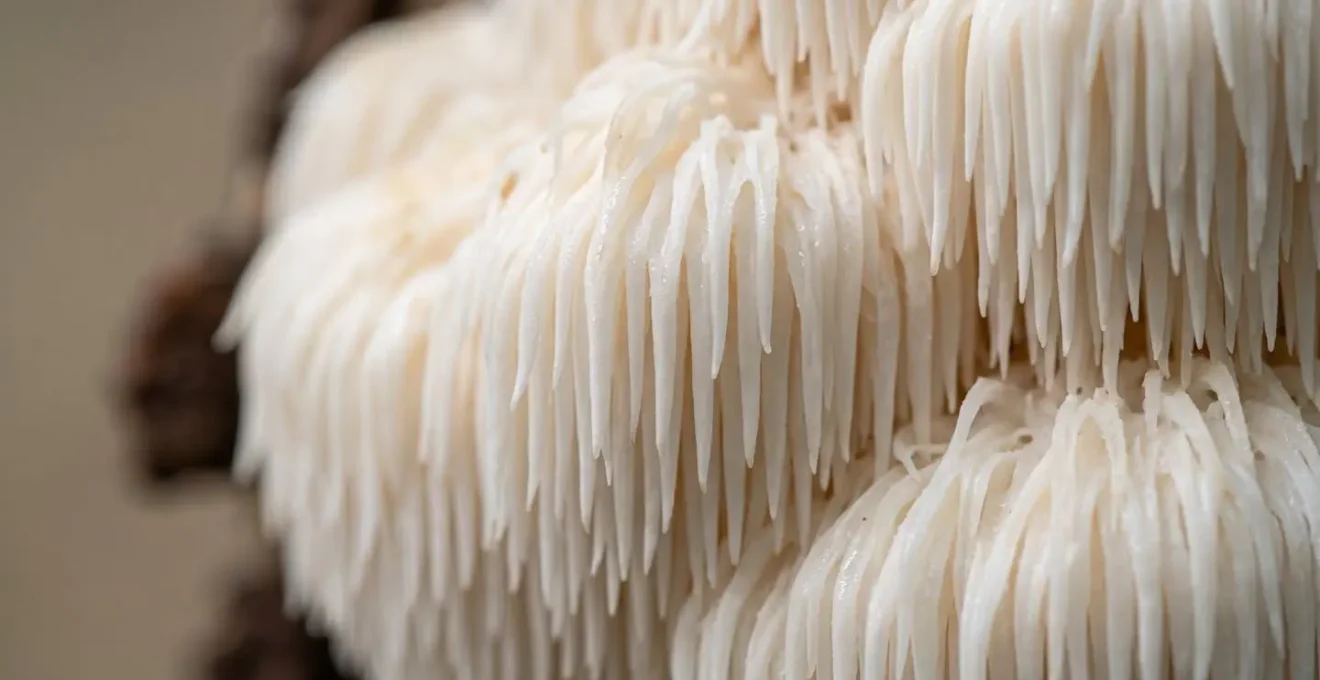 Extreme close-up view of natural organic mushroom surface showing intricate biological detail