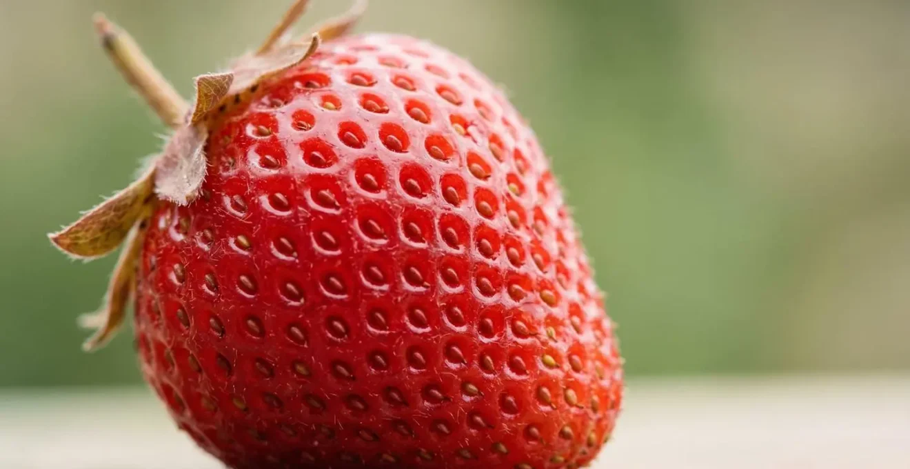 Macro photography showing dewdrops on fresh organic strawberry surface with natural texture detail